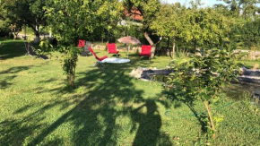 Villa Luna Misevici